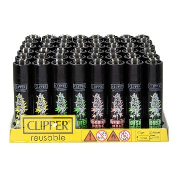 1 x Clipper Hemp Plants, assortiert